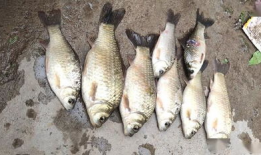 小河沟野钓视频,捕捉自然之美